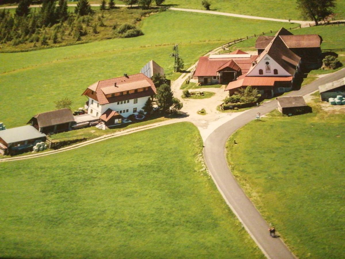 Erholung Am Bauernhof Bei Familie Seidl / Messner Villa Zeutschach Exterior photo